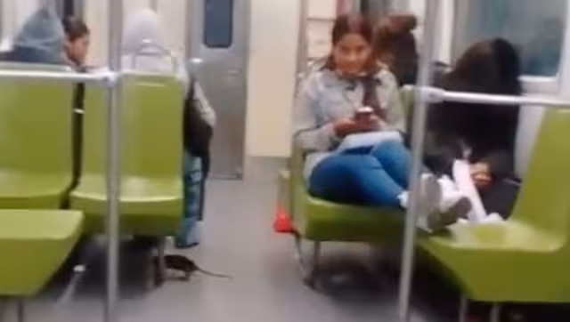 Rata sorprende a pasajeros del Metro de la CDMX | VIDEO